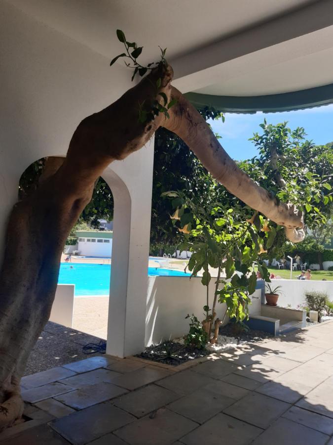 Apartamento Da Avo Te - Em Frente A Praia C Piscina Portimão Exterior photo